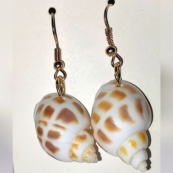 Beautiful seashell dangle earrings for girls and women - Picture 3 of 6